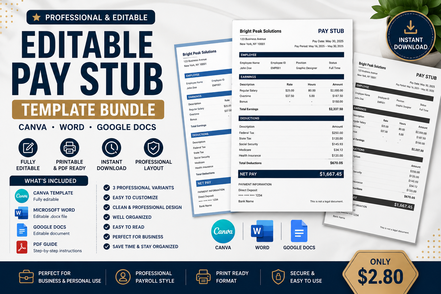 Editable Pay Stub Template Bundle – Canva, Word & Google Docs - digital product