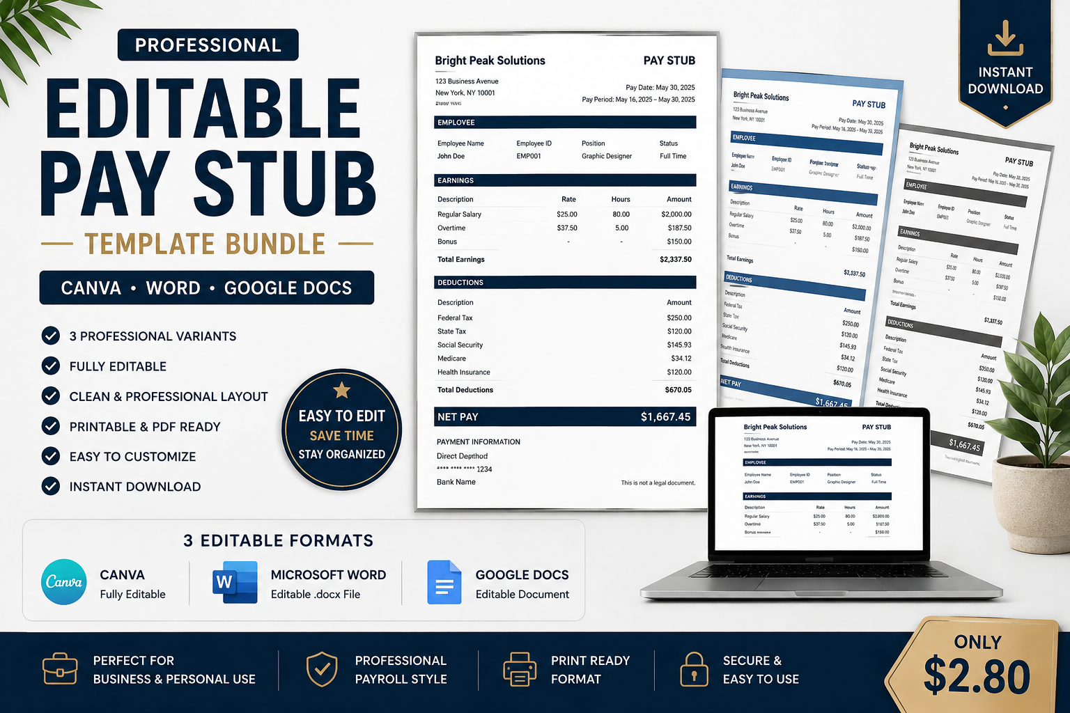 Editable Pay Stub Template Bundle – Canva, Word & Google Docs preview 3